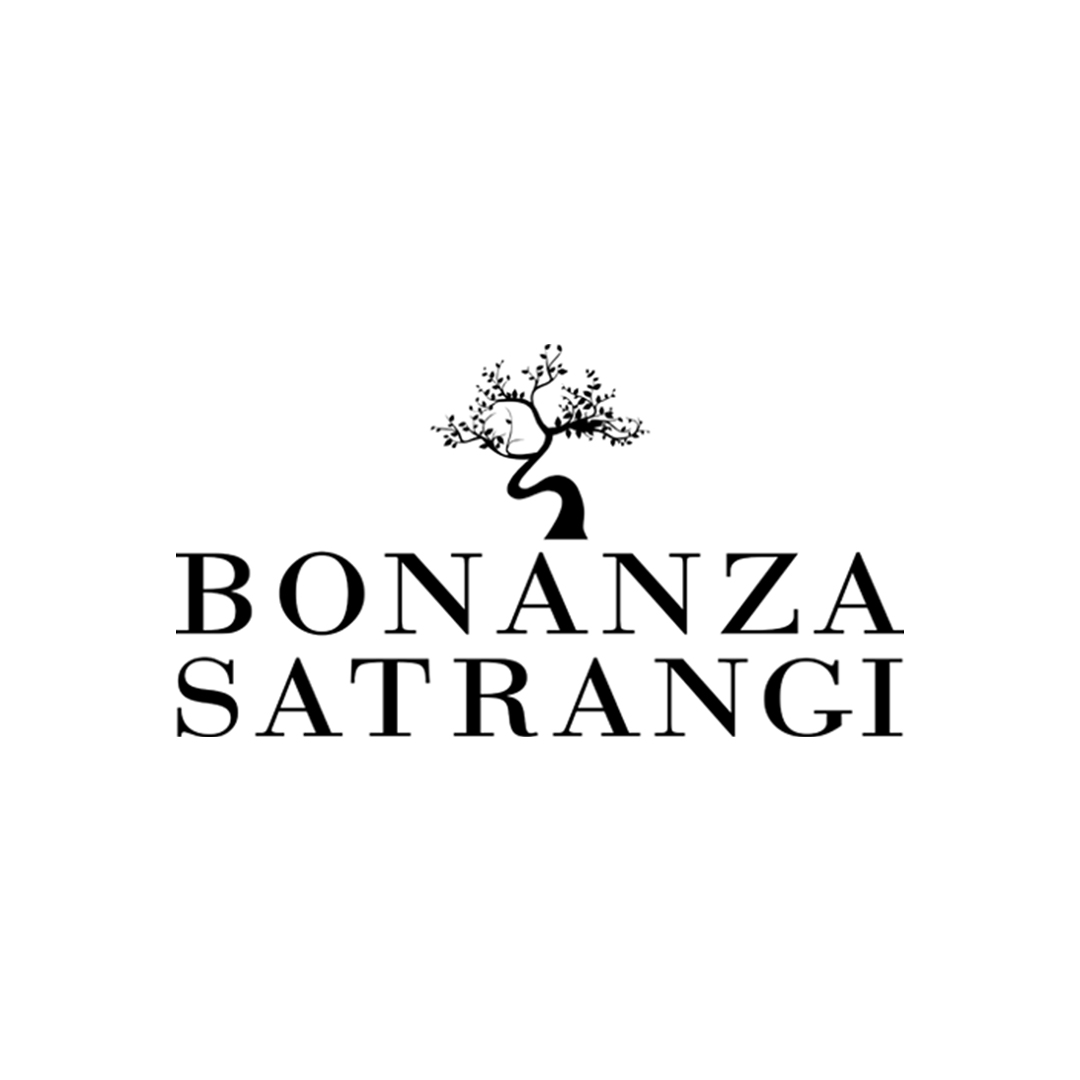Bonanza Satrangi logo